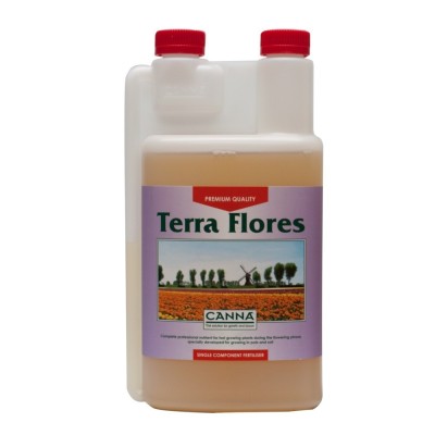 Canna Terra Flores