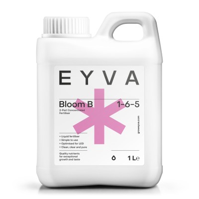 EYVA Liquid Bloom B